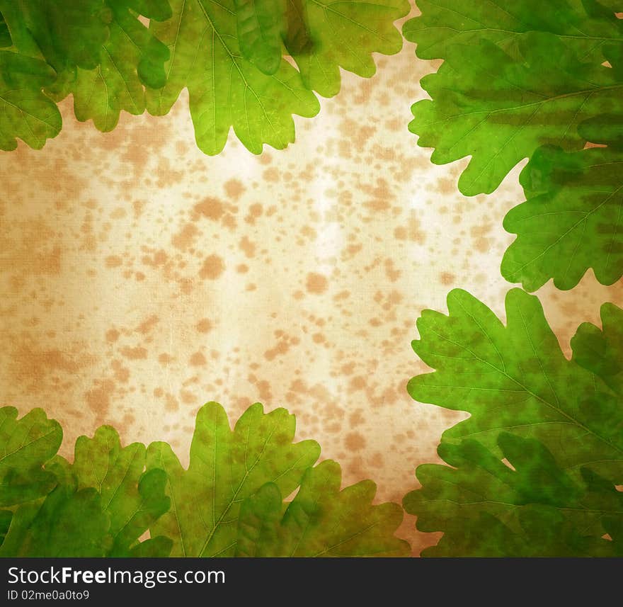 Vintage background with oak tree leaves