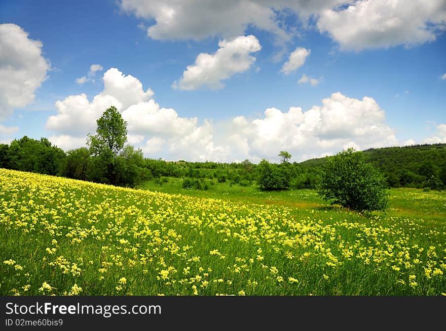 Green field with yellow and white clouds