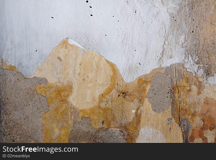 Grunge moldy wall in an abandoned house