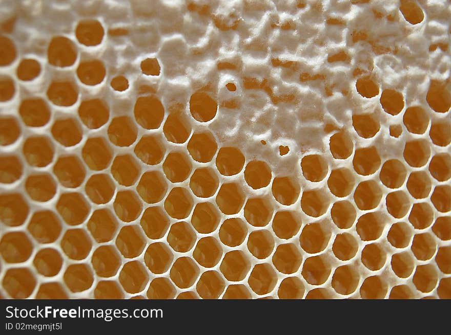 Honeycomb filled with honey partly stuck with beeswax