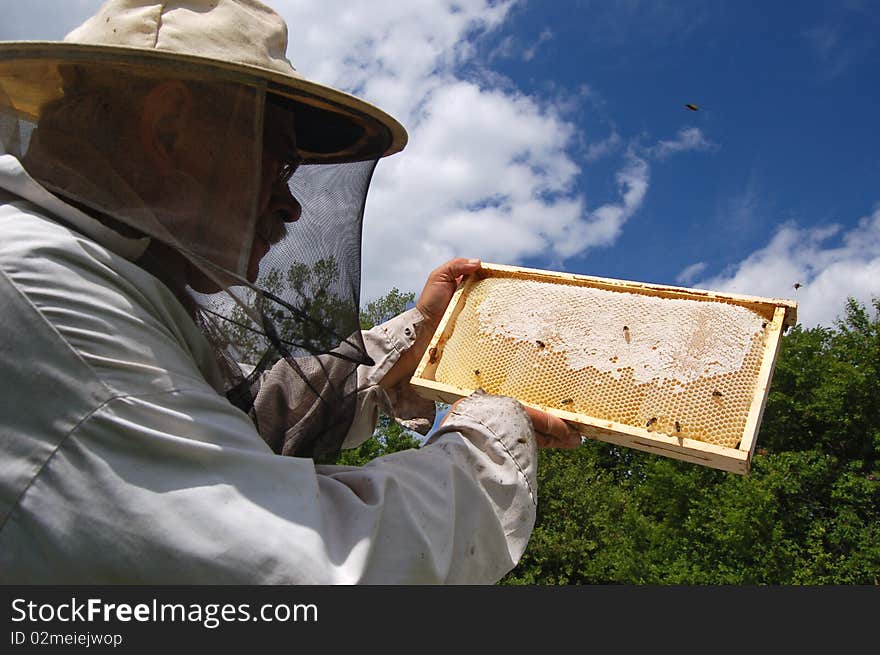 Beekeeper is working in his apiary in summertime