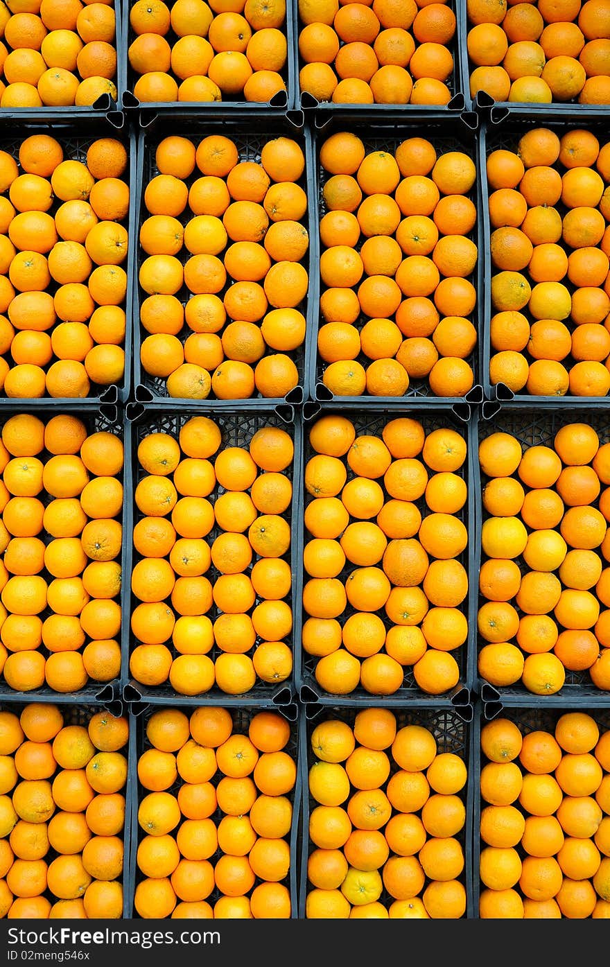 Fresh oranges ready to sale