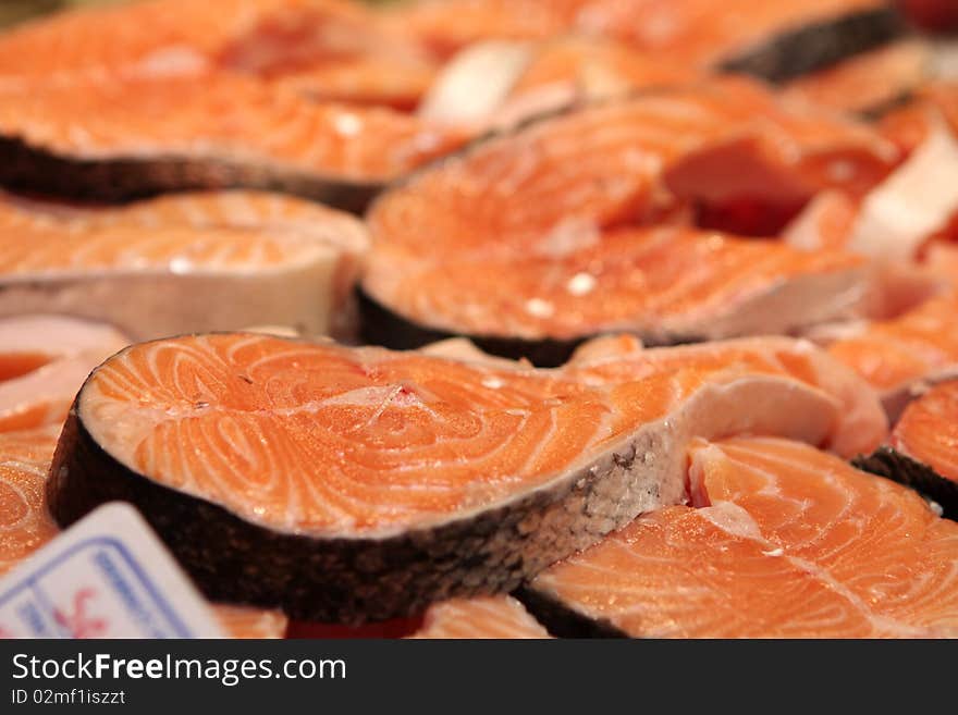 Salmon