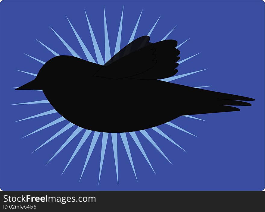 Vector of the bird flying in the sky at night. Vector of the bird flying in the sky at night.