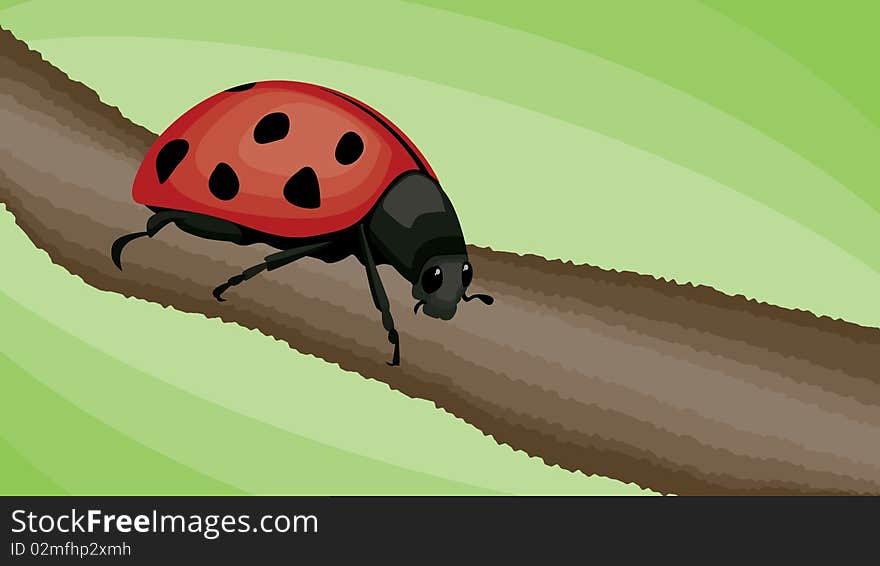 Ladybug Vector