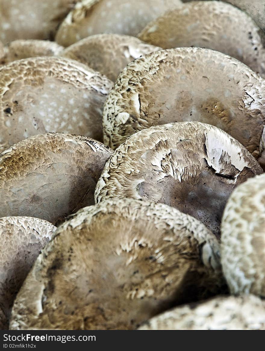 Portabella Mushrooms