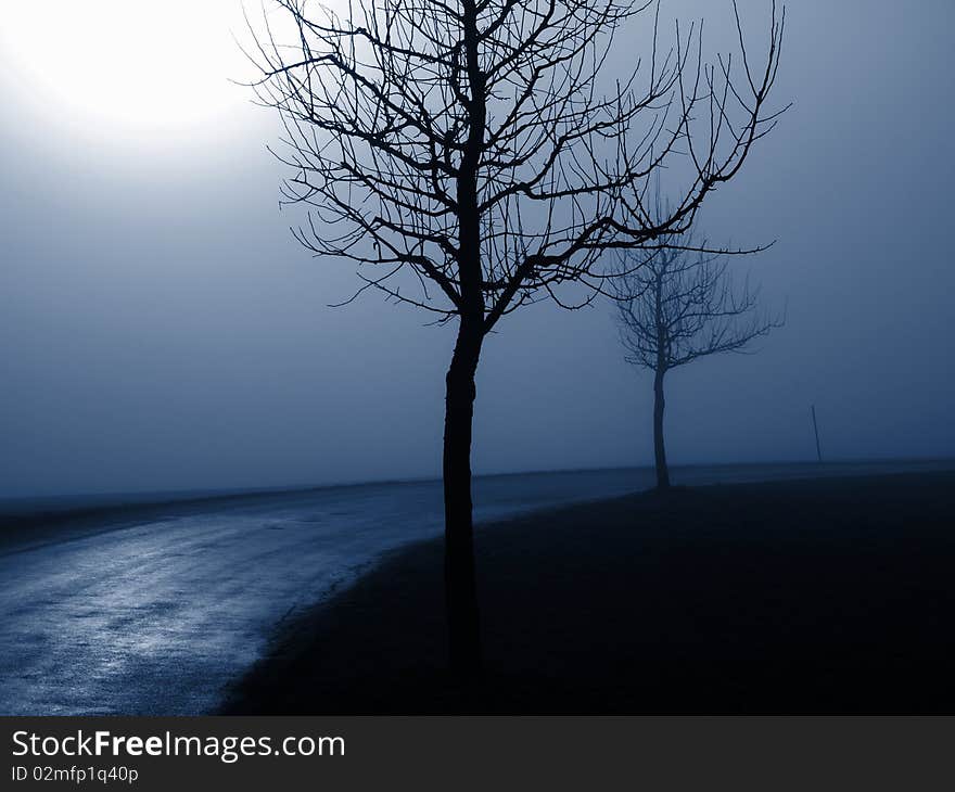 Dangerous street on a foggy winter day