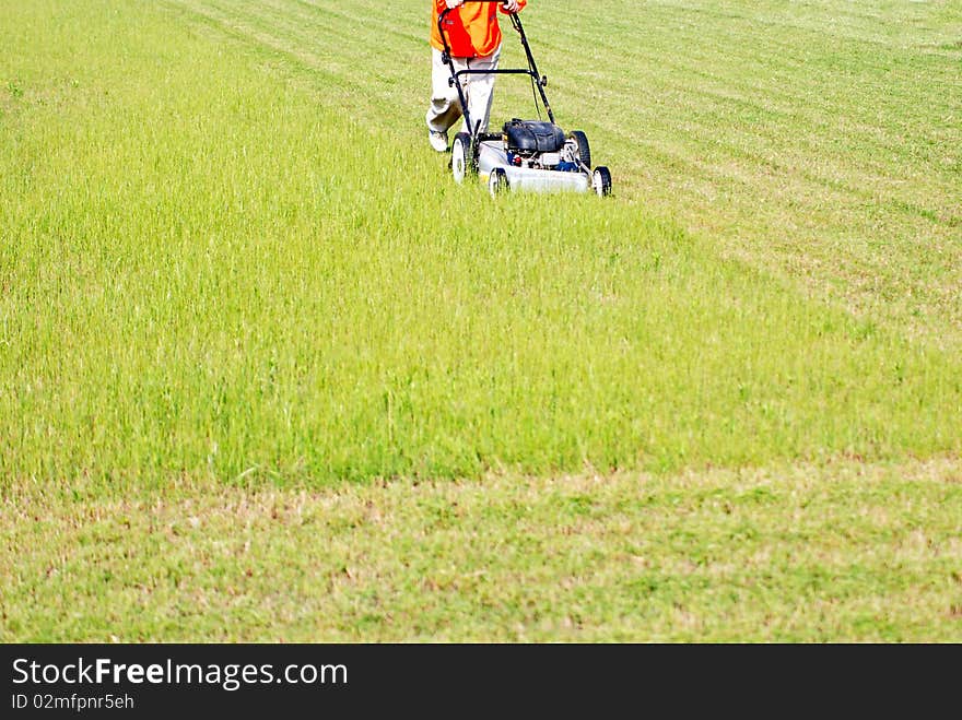 A worker is cutting the grass on the grassy lawn. A worker is cutting the grass on the grassy lawn