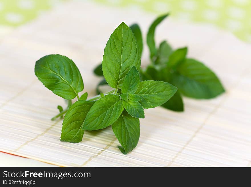 A bunch of mint , a closeup shot