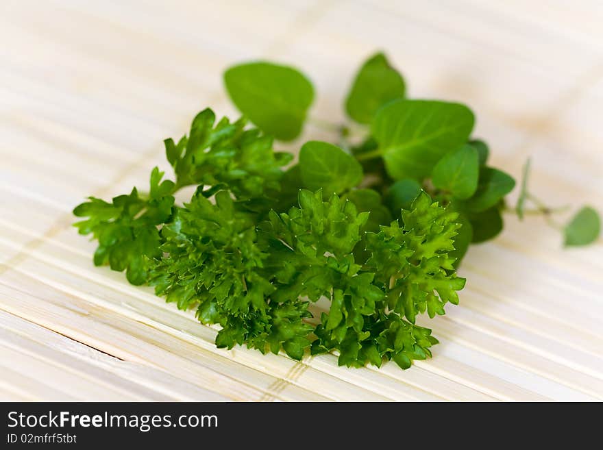 A bunch of mint and parsley, a closeup shot. A bunch of mint and parsley, a closeup shot