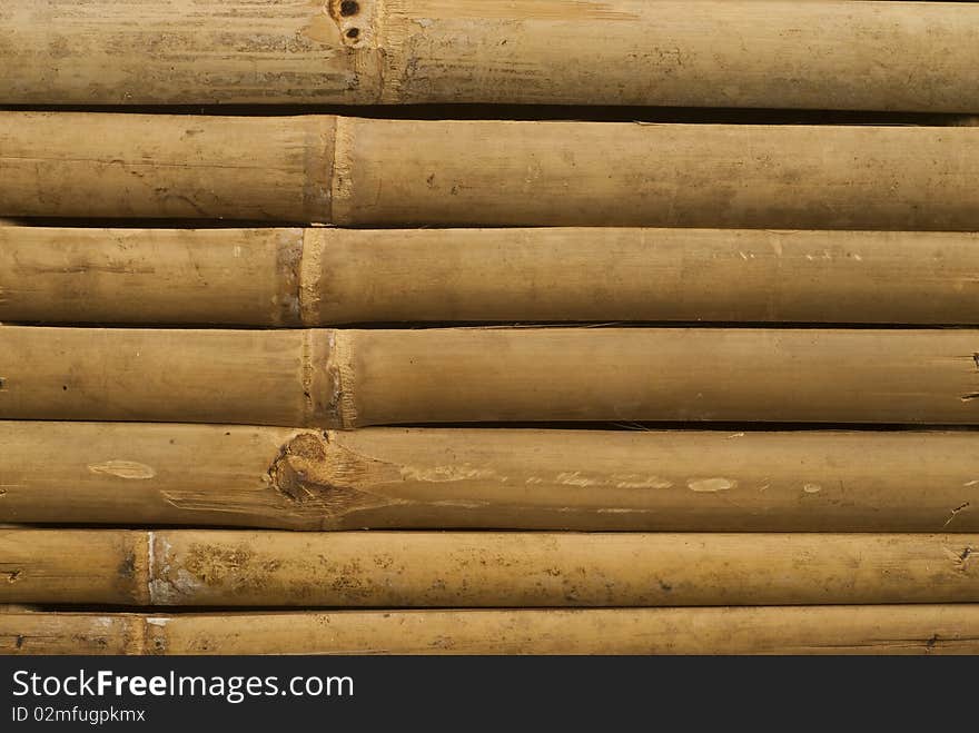 Bamboo in Thailand, Golden bamboo. Bamboo in Thailand, Golden bamboo