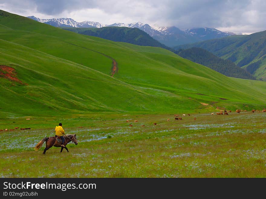 The shepherd on a horse in mountains