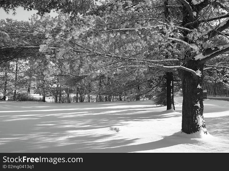 First snowfall of the season in Ohio. First snowfall of the season in Ohio