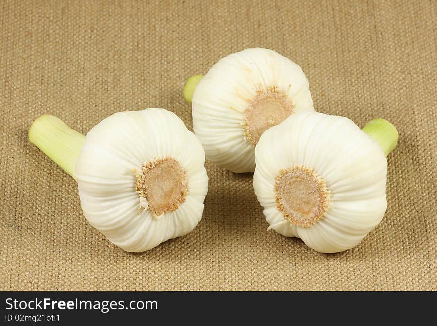 Garlic