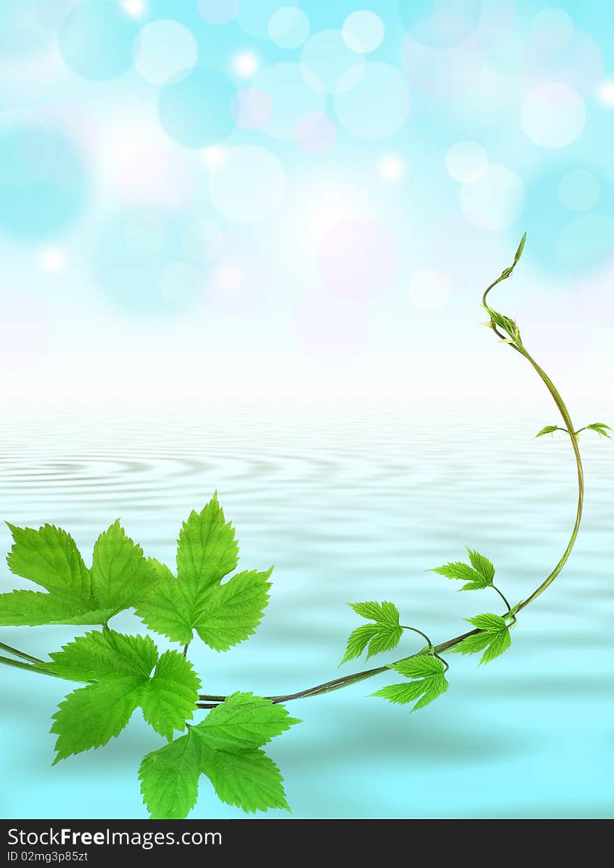 Blue water background with green liana twig. Blue water background with green liana twig