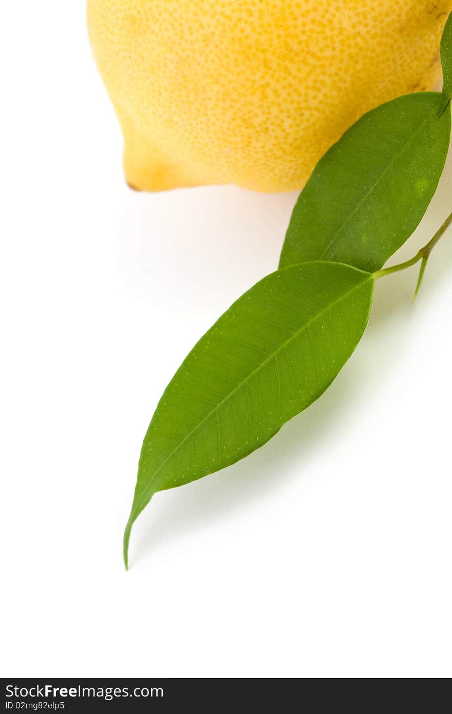 An image of a yellow lemon and green leaves