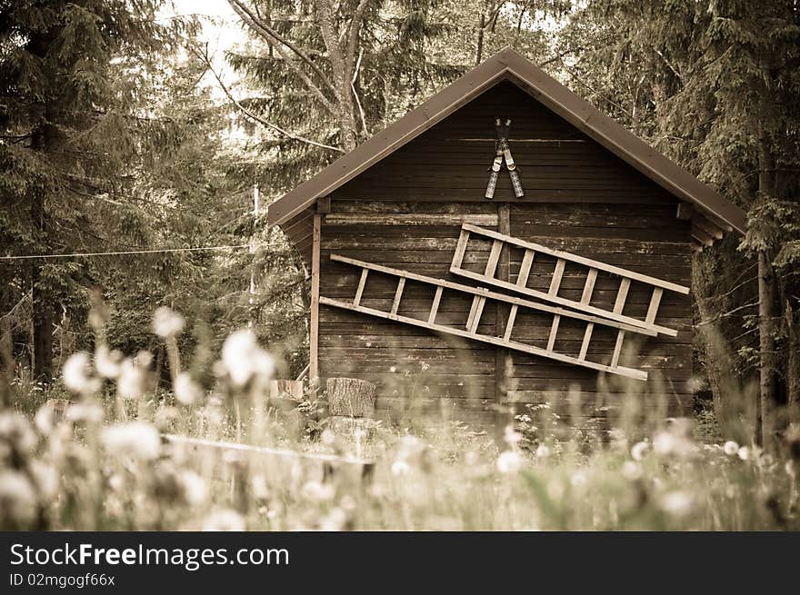 The old cottage in the wood