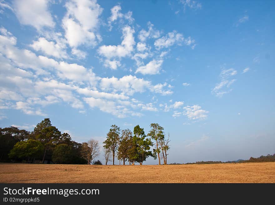 The late afternoon in Thailand national park image