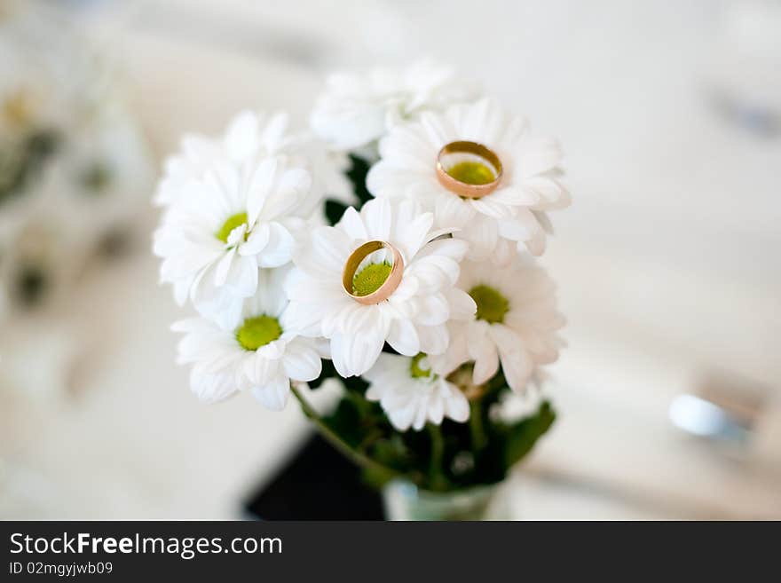 An image of two golden rings on white flowers