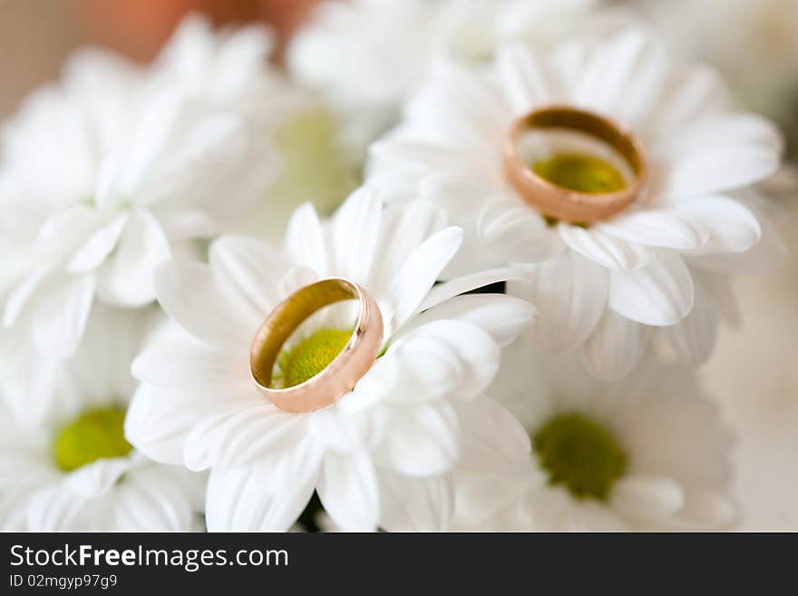 An image of golden rings on white flowers. An image of golden rings on white flowers