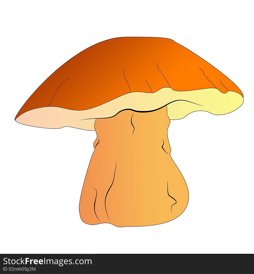 Bright and colorful large forest mushroom