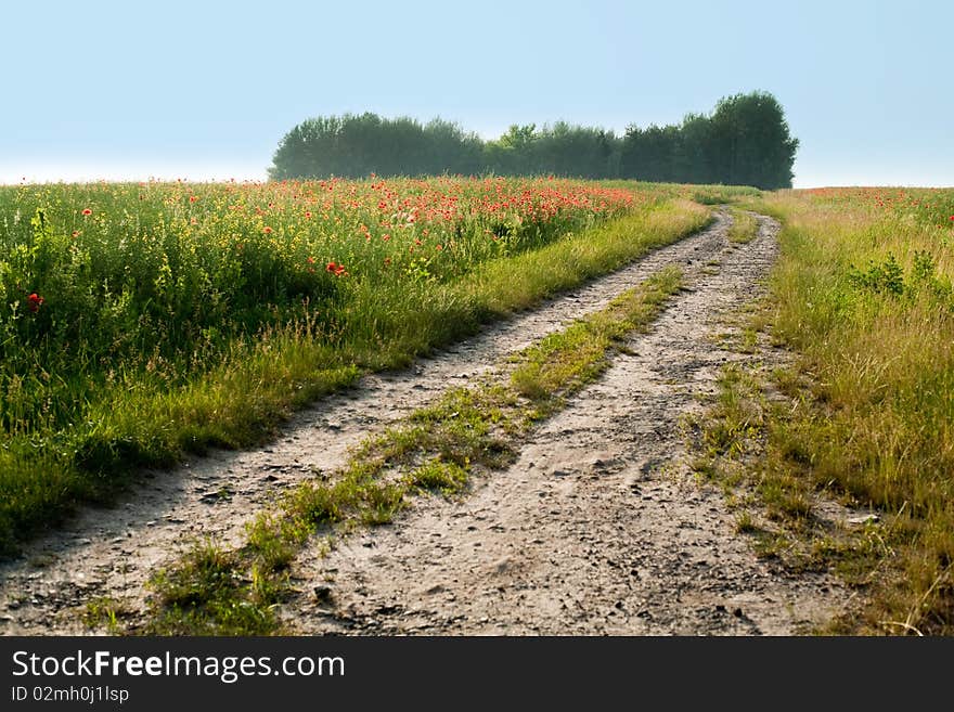 An image of a road in the field