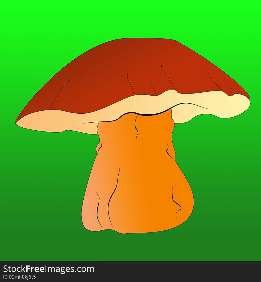 Bright and colorful large forest mushroom