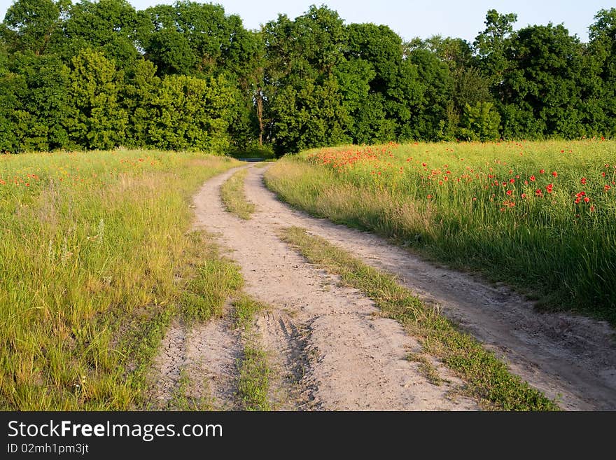 An image of a road in summer field. An image of a road in summer field