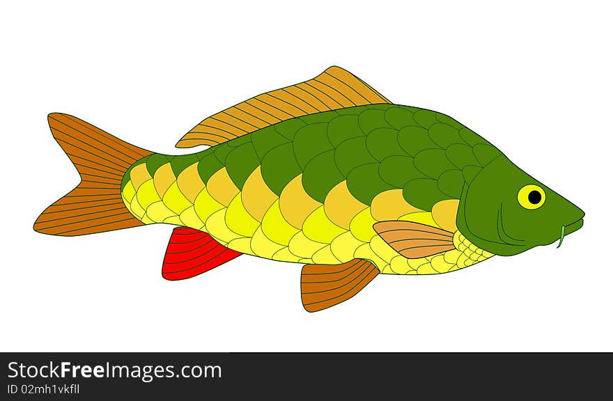 Bright and colorful beautiful carp