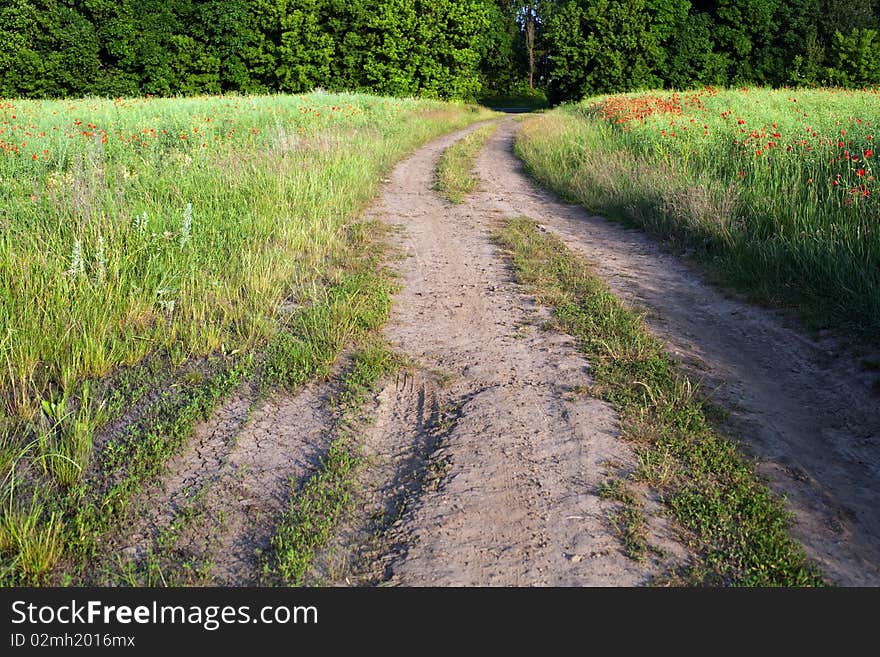 An image of a road in the field in summer