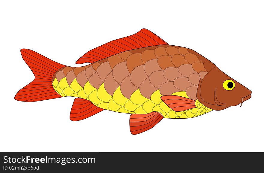 Bright and colorful beautiful carp