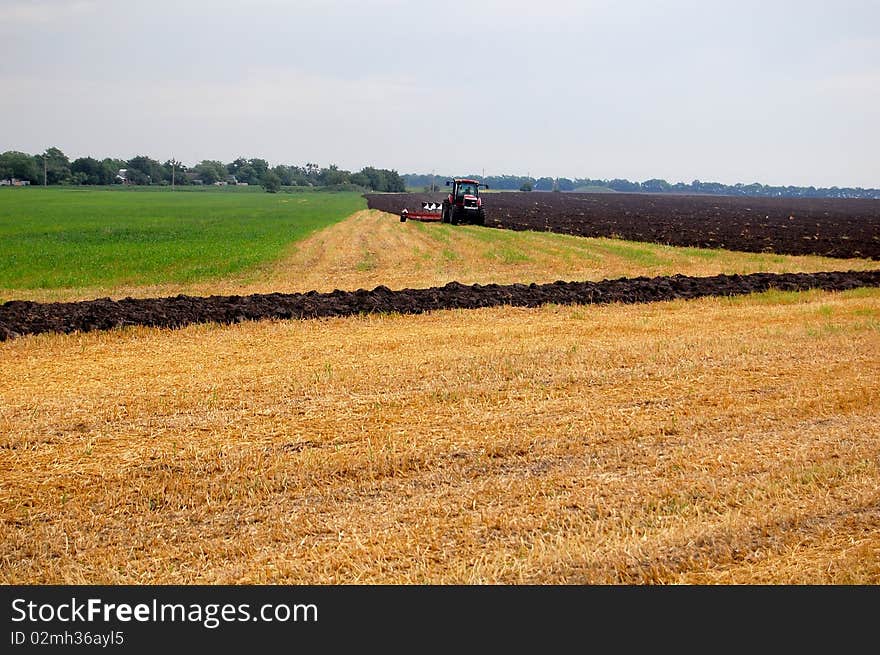 Tractor is plowed yellow field. Tractor is plowed yellow field.