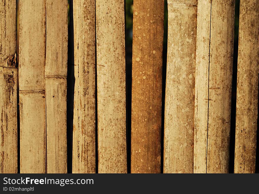 A wall made by group of bamboo. A wall made by group of bamboo