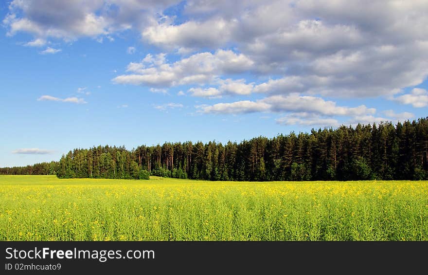 Belorussian landscape