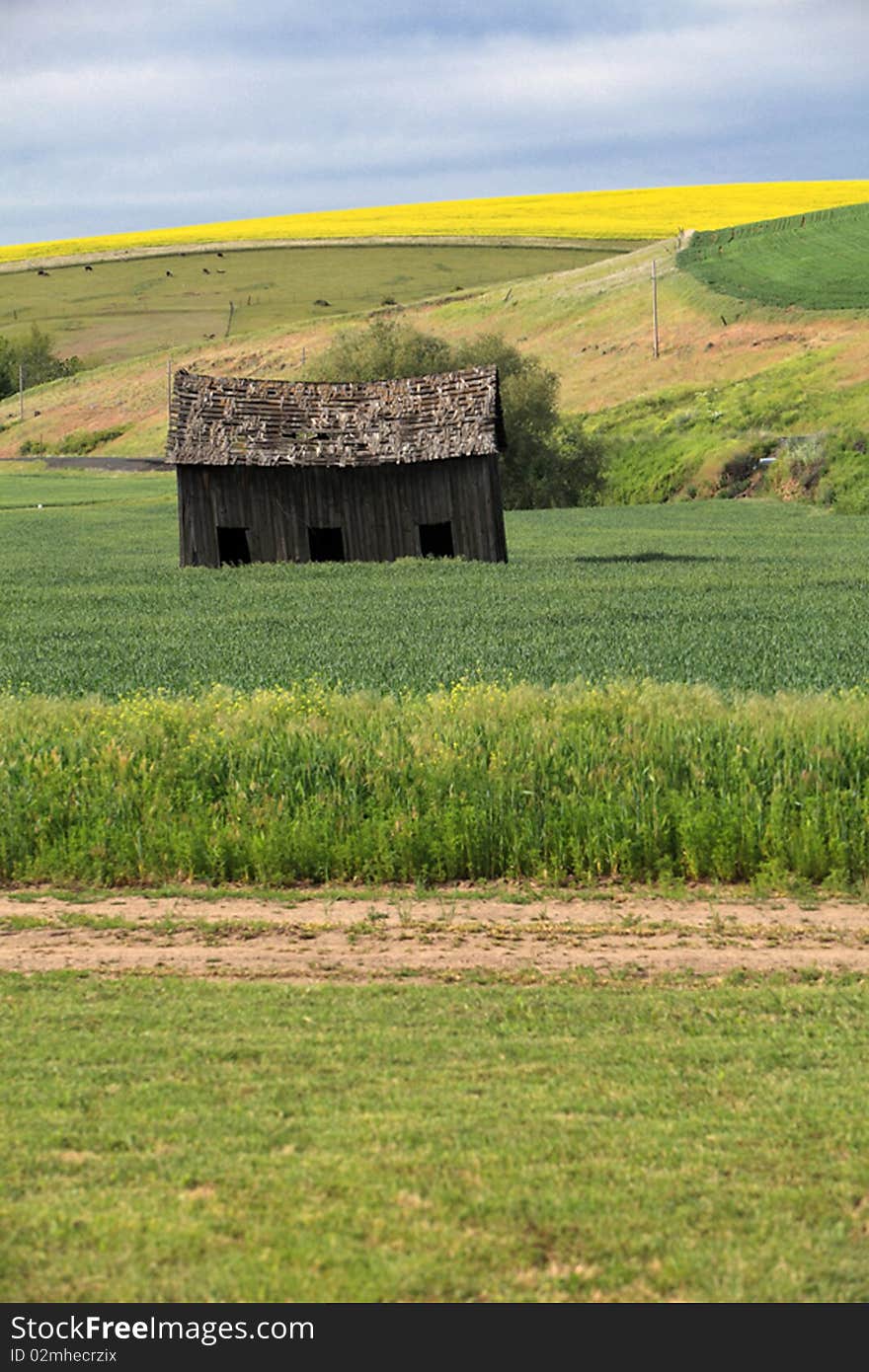 Old barn located in the Palouse, WA