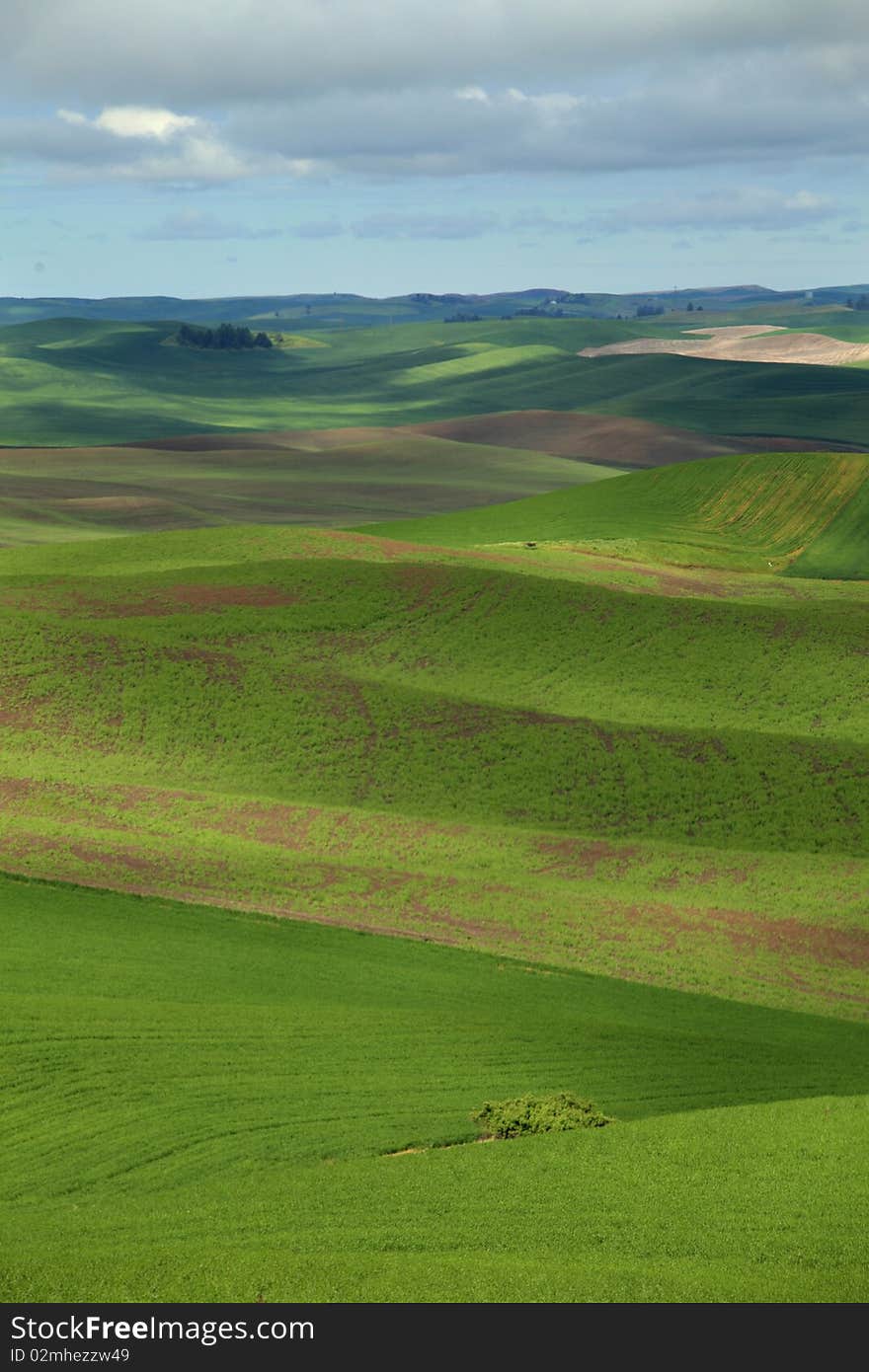 A view of the Palouse from in Colfax, WA. A view of the Palouse from in Colfax, WA