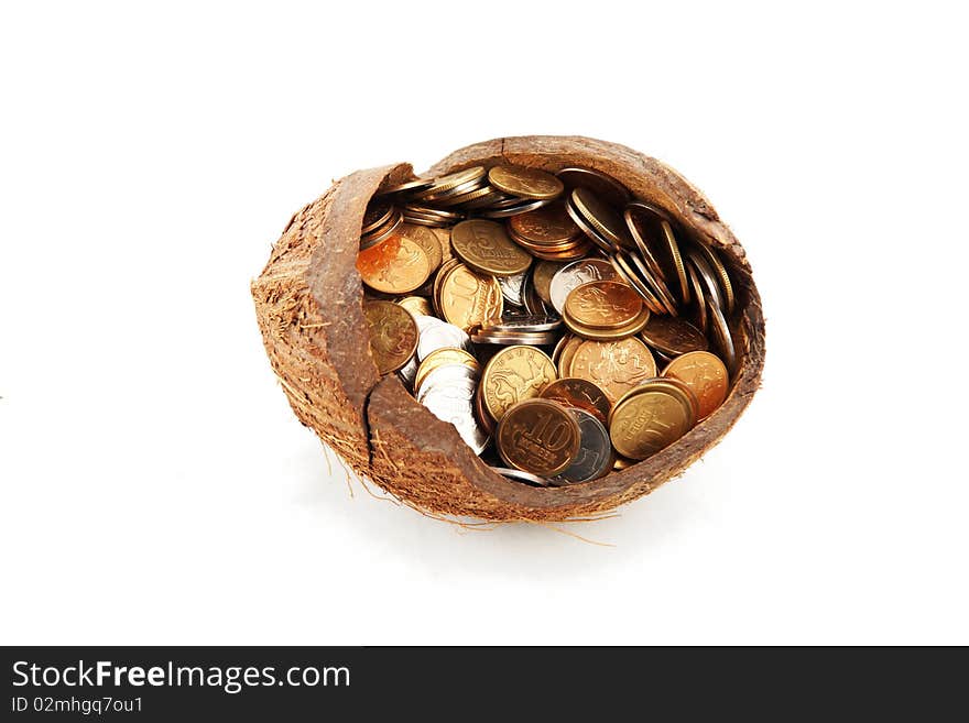 A money in cocoa shell