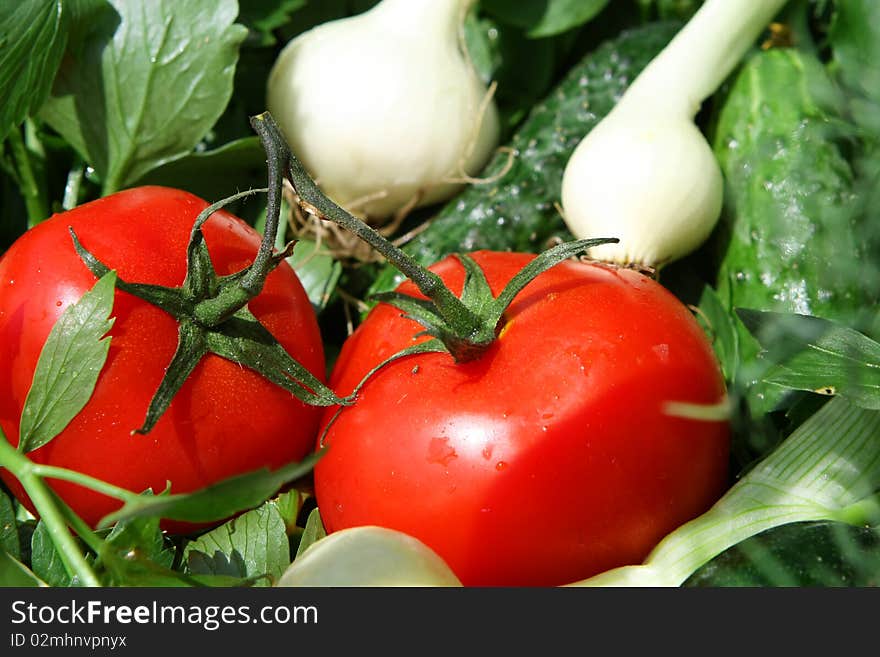 Vegetables basket close up