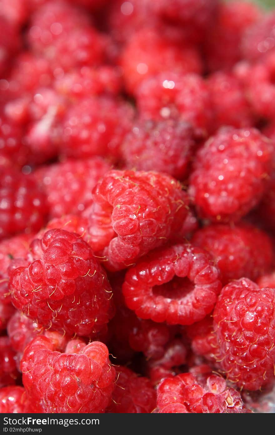 Raspberry Close Up