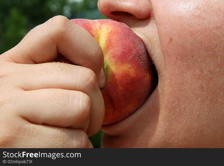 Isolated hand and peach, natural background