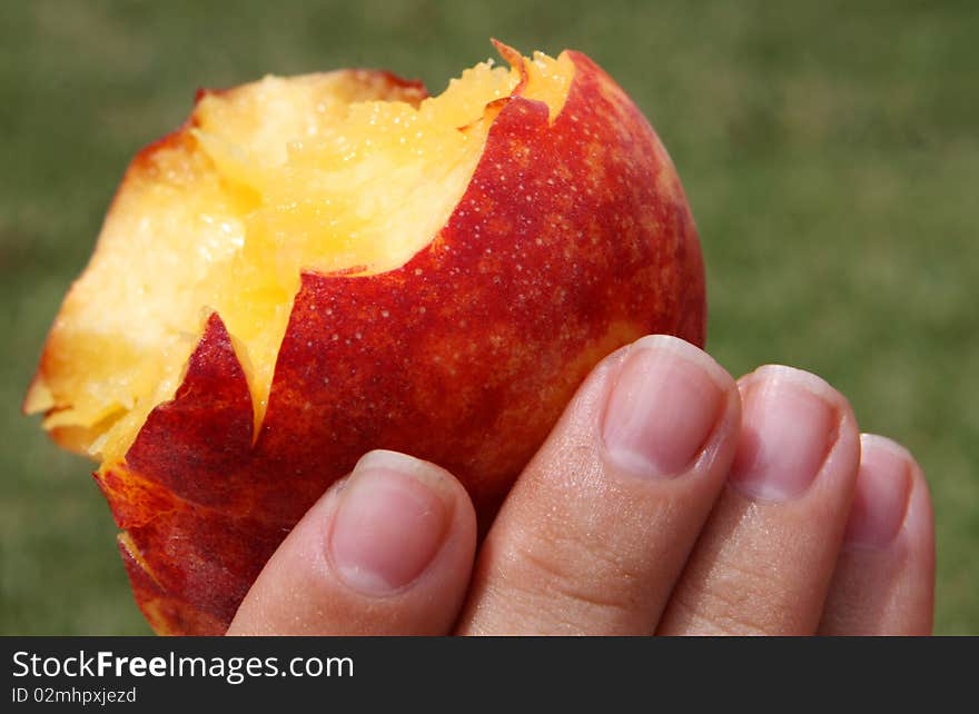 Isolated hand and peach, natural background