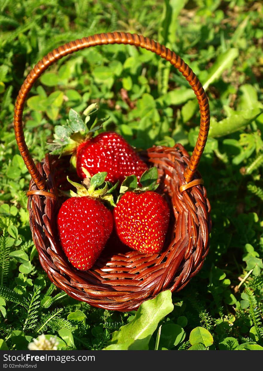 Strawberries in basket on green grass