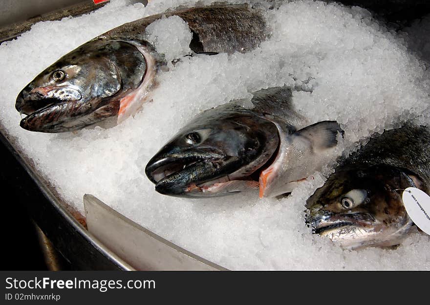 Salmons on the ice on the market