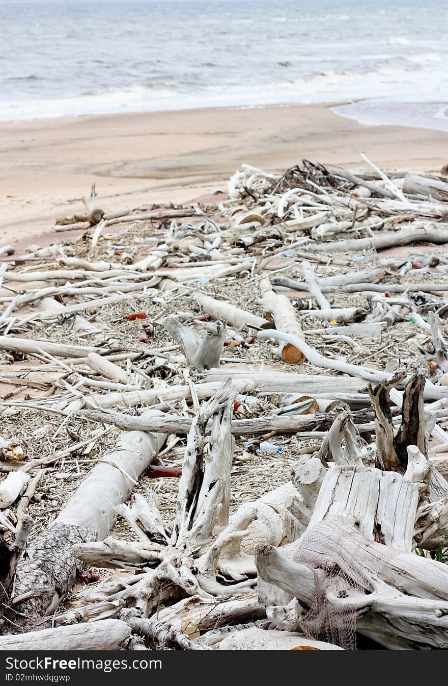 Rubbish on the beach