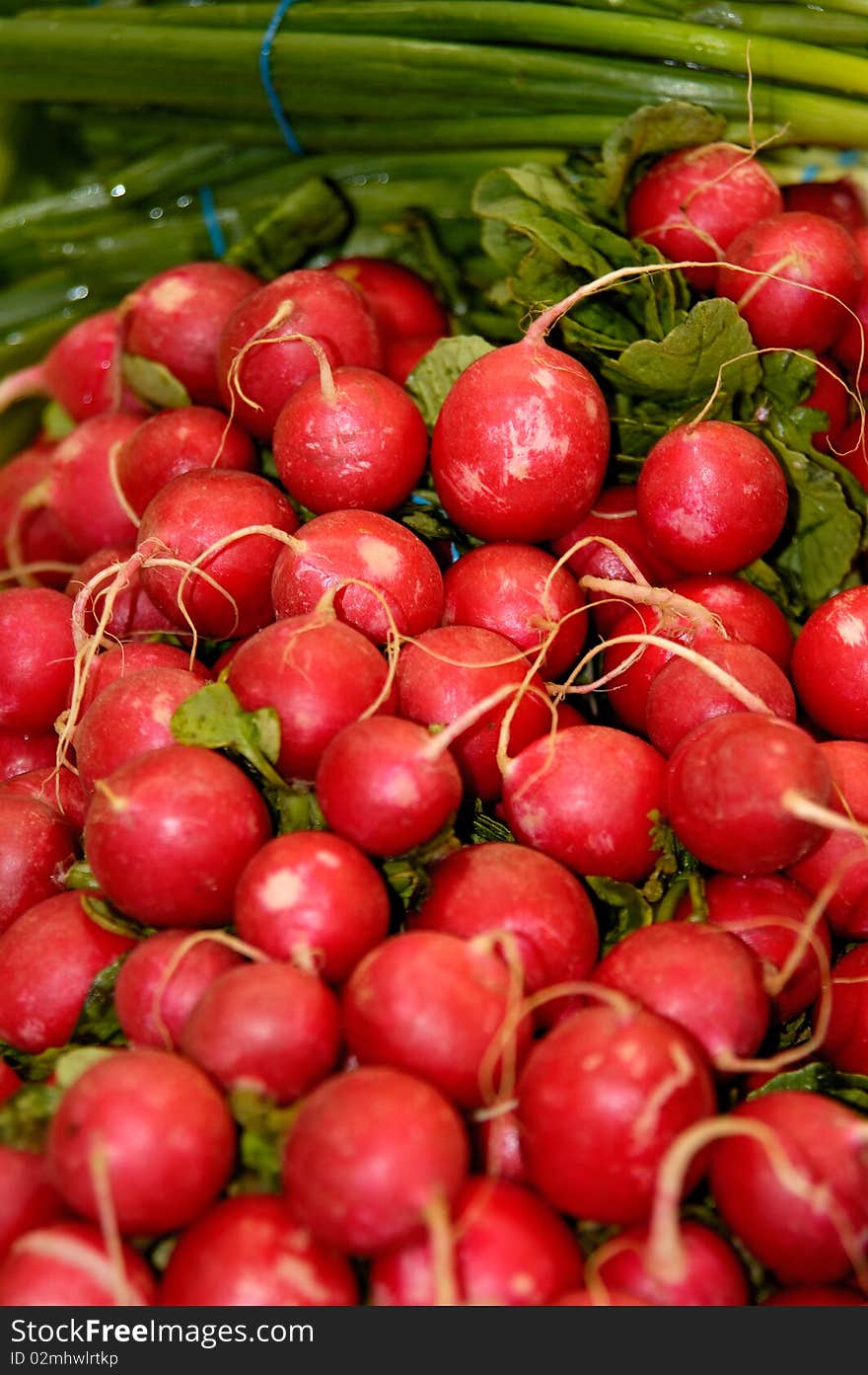 Radish and green onion on the market