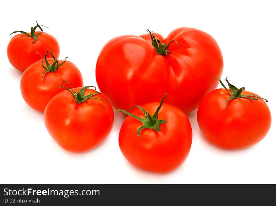 Tomatoes group