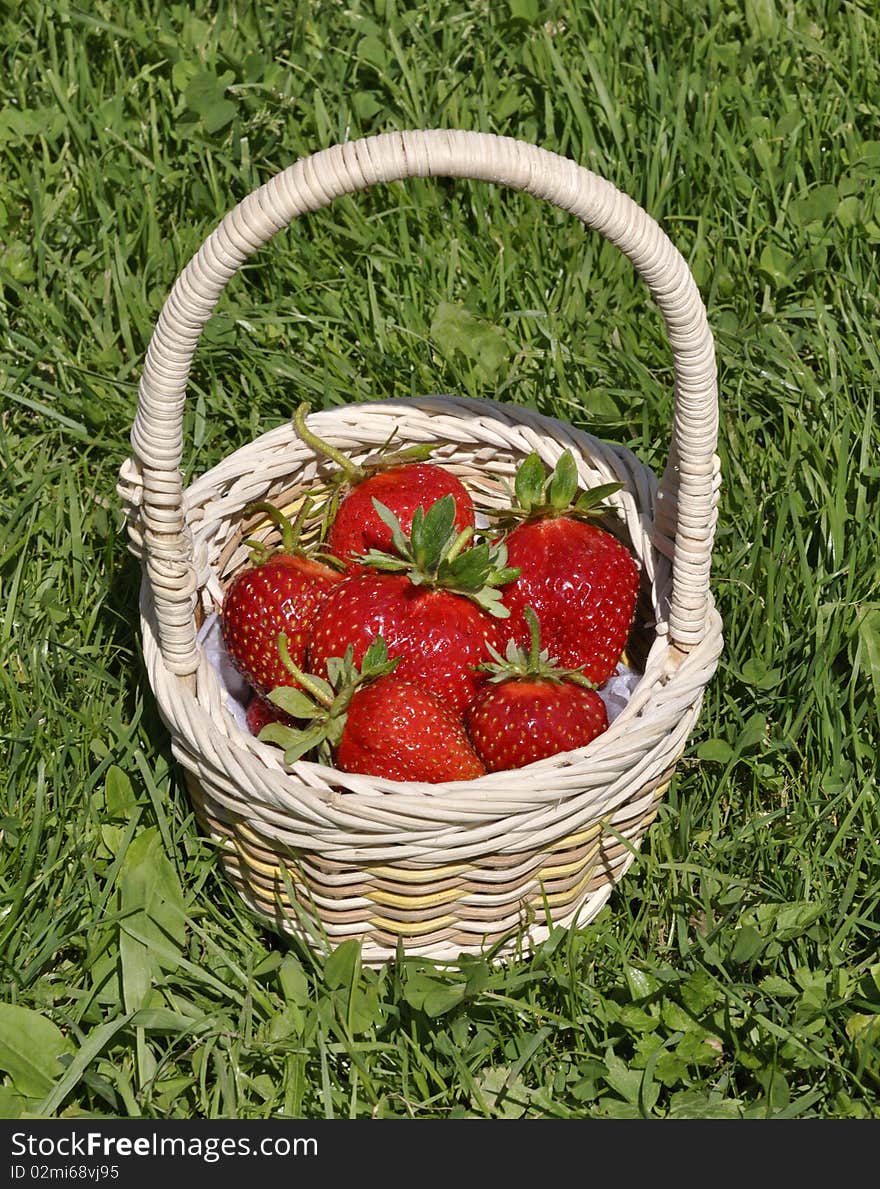 Strawberry Basket