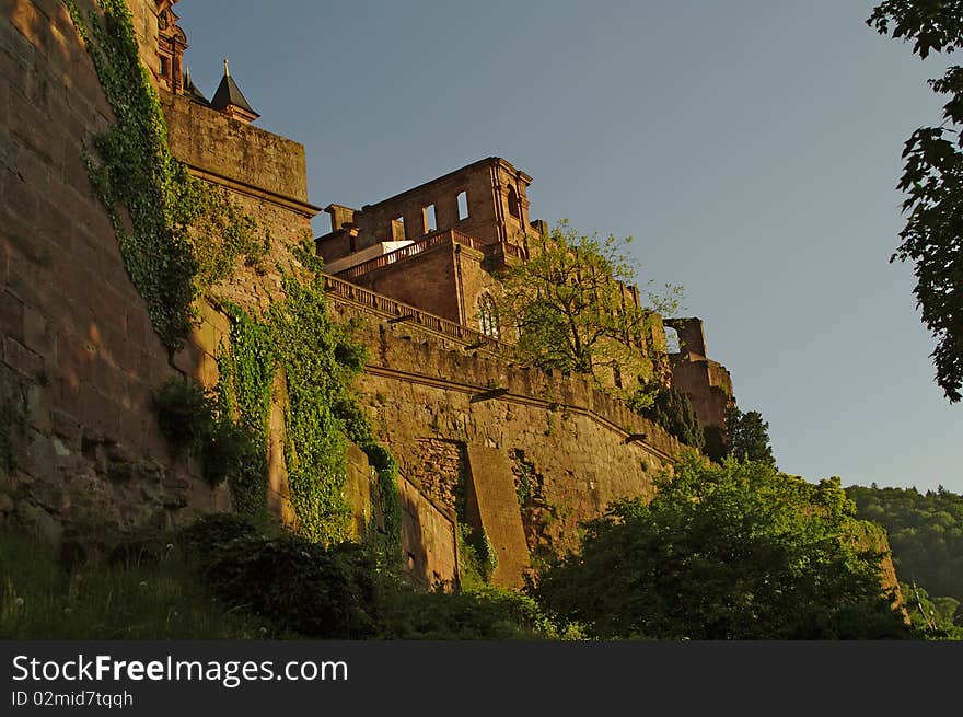 Heidelberger Schloss at its walls, Castle, summer 2010. Heidelberger Schloss at its walls, Castle, summer 2010