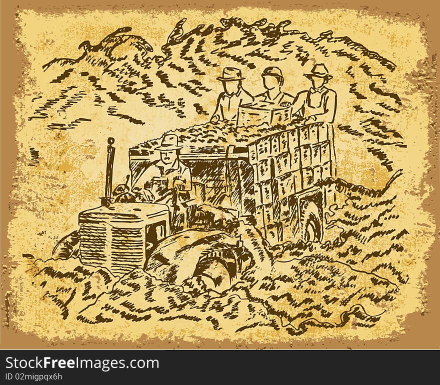 Harvesting - vintage drawing vector illustration