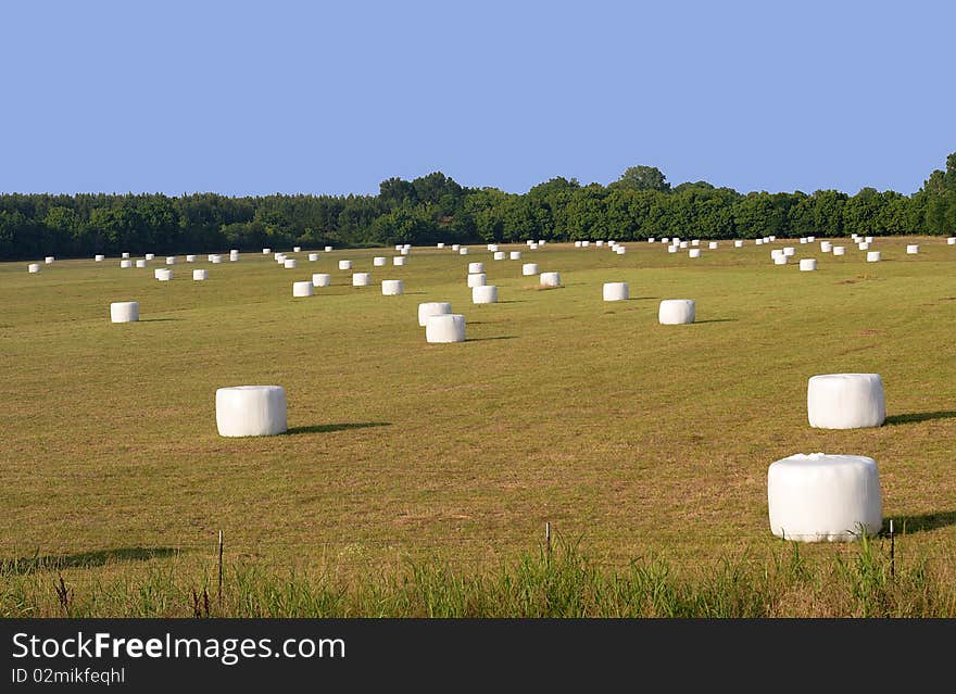 A New Kind of Hayfield